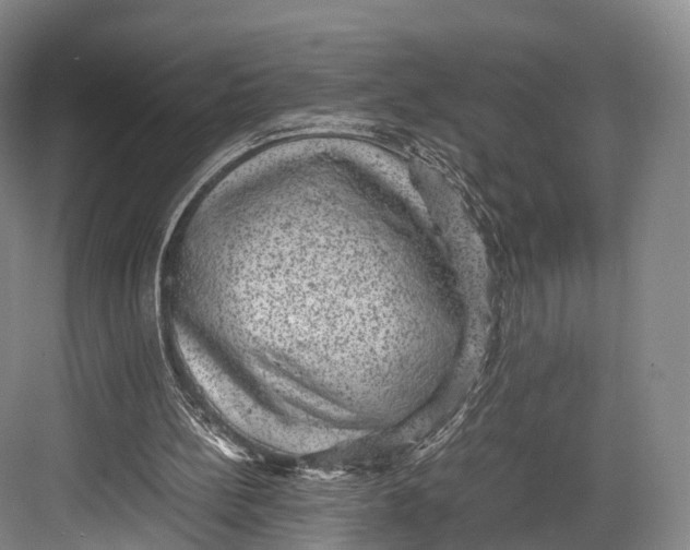 X0000082690148200702161733