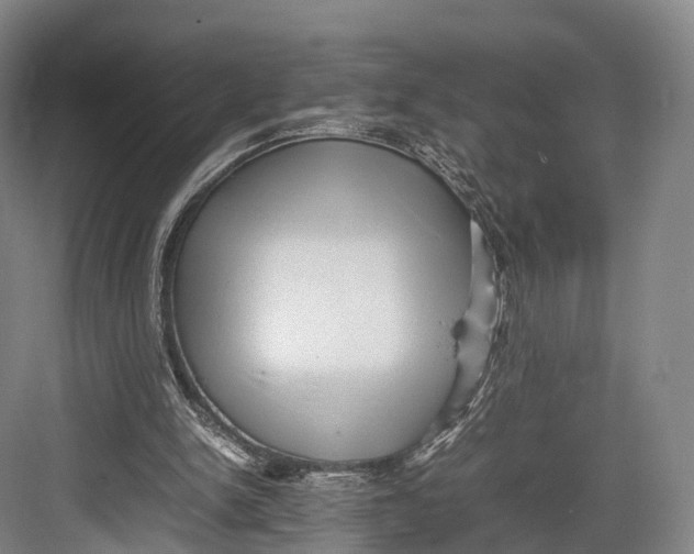 X0000082690150200702161733