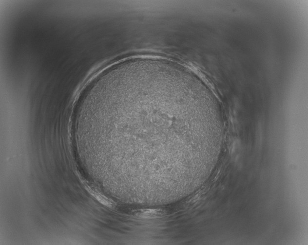 X0000082690151200702161733