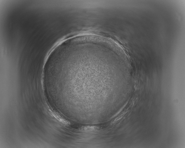 X0000082690152200702161733