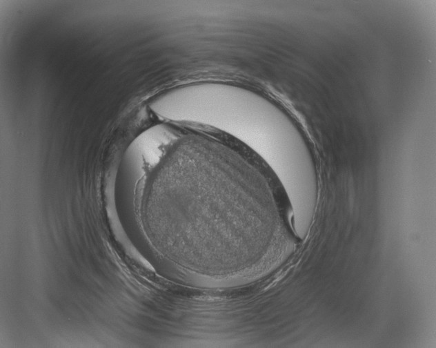 X0000082690154200702161733