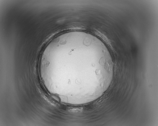 X0000082690155200702161733