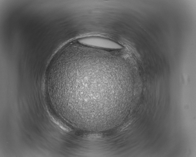 X0000082690156200702161733