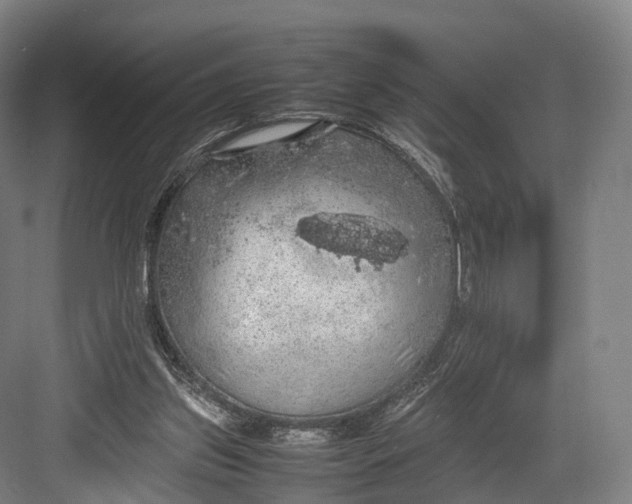 X0000082690157200702161733