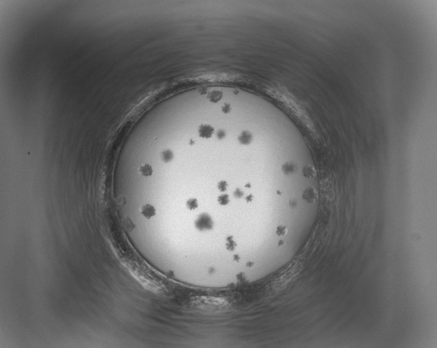 X0000082690159200702161733