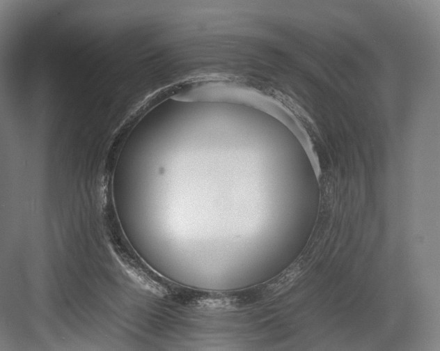 X0000082690160200702161733