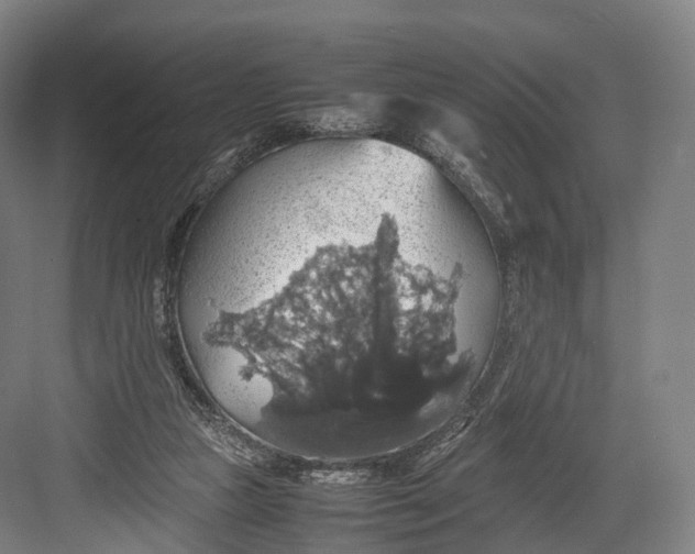 X0000082690161200702161733