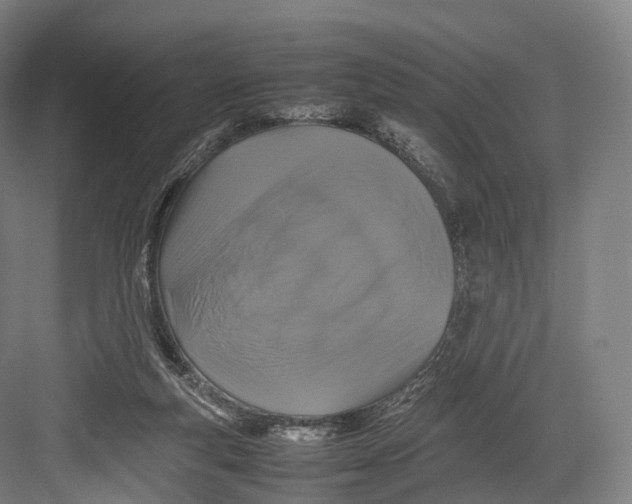 X0000082690163200702161733