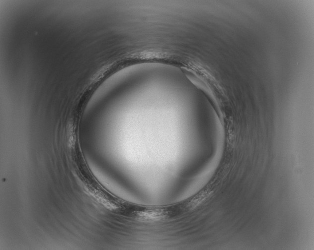 X0000082690164200702161733