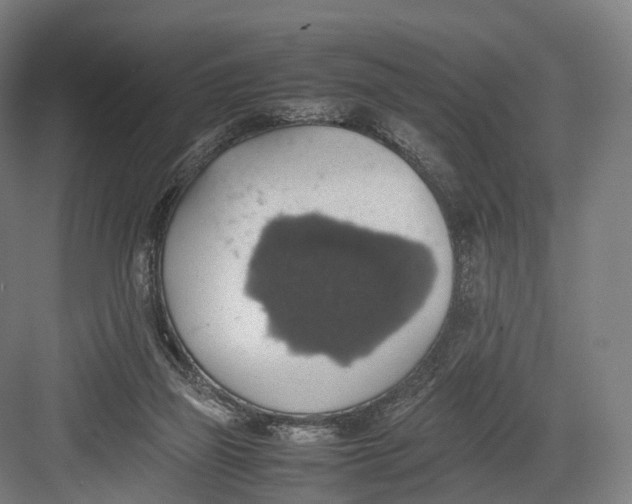 X0000082690165200702161733