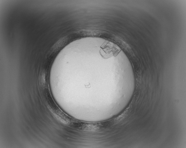 X0000082690166200702161733