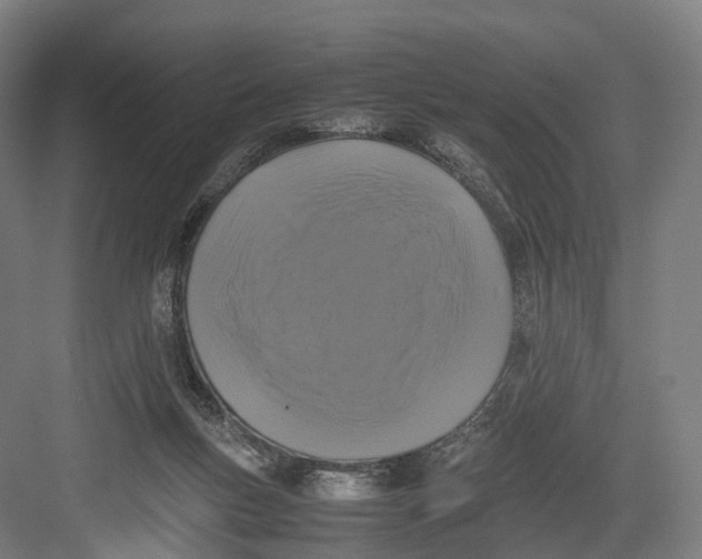 X0000082690167200702161733