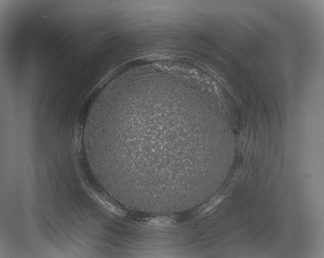 X0000082690168200702161733