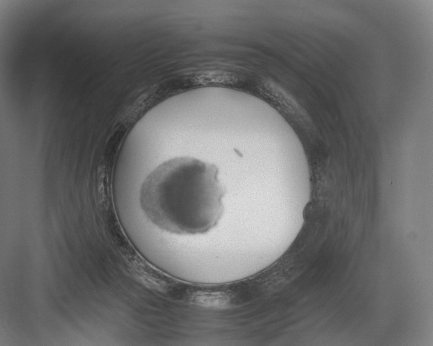 X0000082690169200702161733