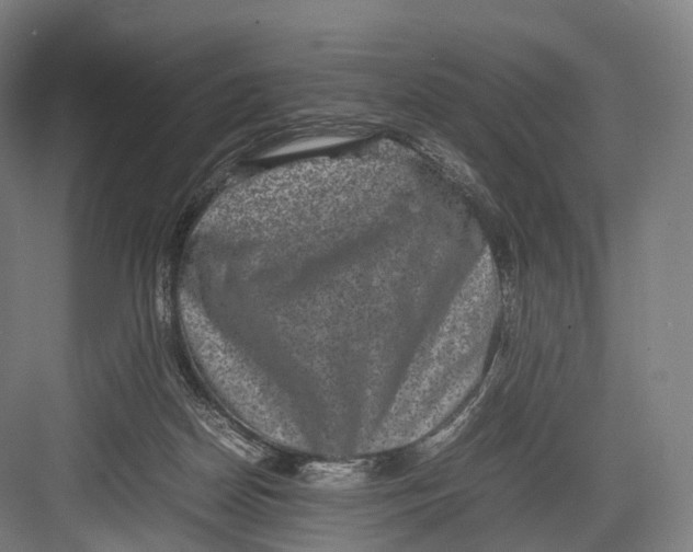 X0000082690170200702161733