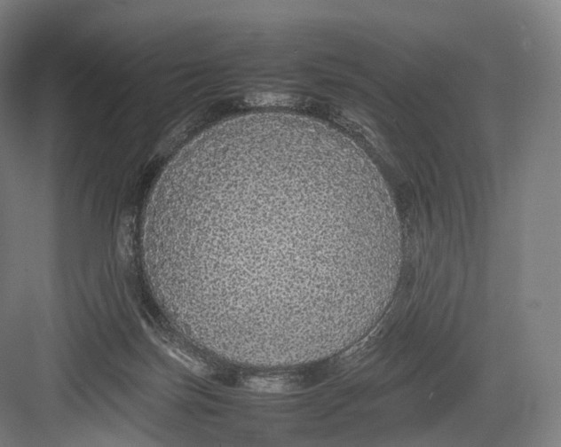 X0000082690171200702161733