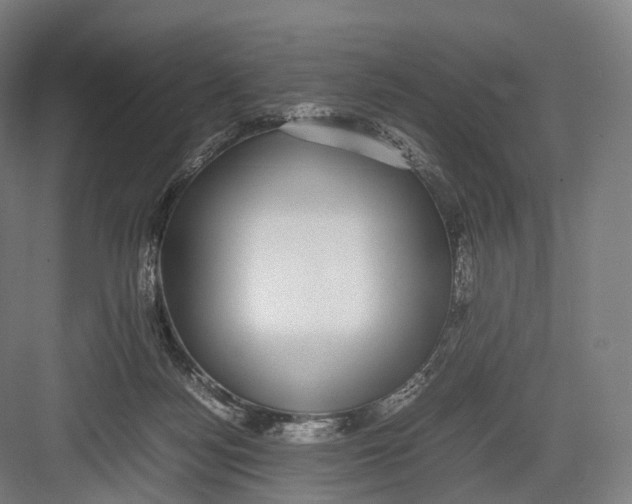 X0000082690172200702161733