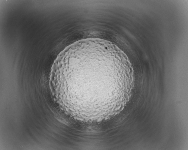 X0000082690173200702161733