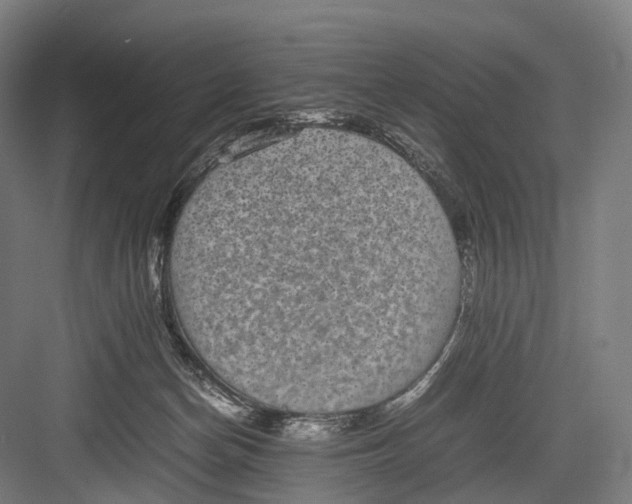 X0000082690174200702161733