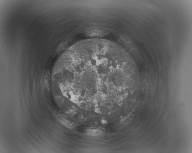 X0000082690175200702161733