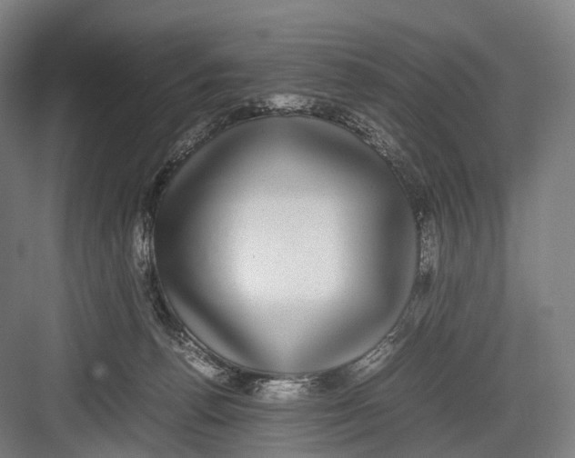 X0000082690176200702161733