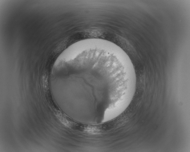 X0000082690177200702161733