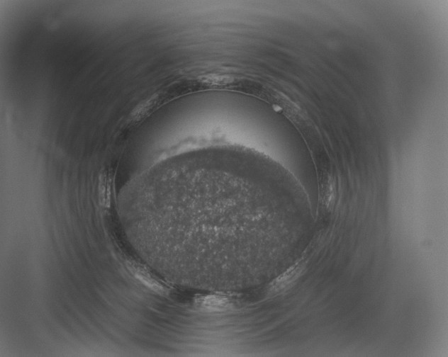 X0000082690180200702161733