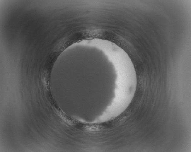 X0000082690181200702161733