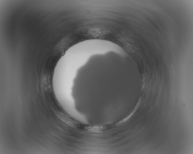 X0000082690182200702161733