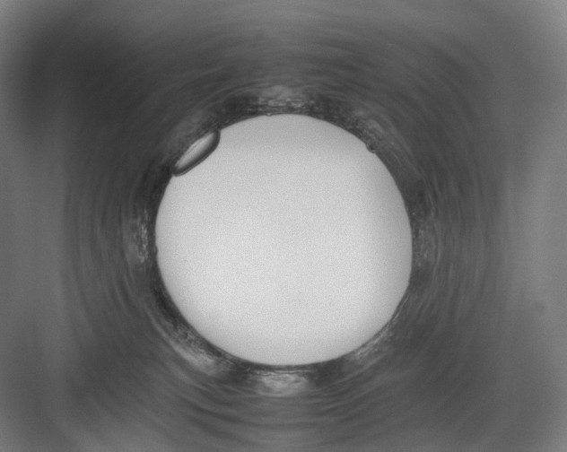 X0000082690183200702161733