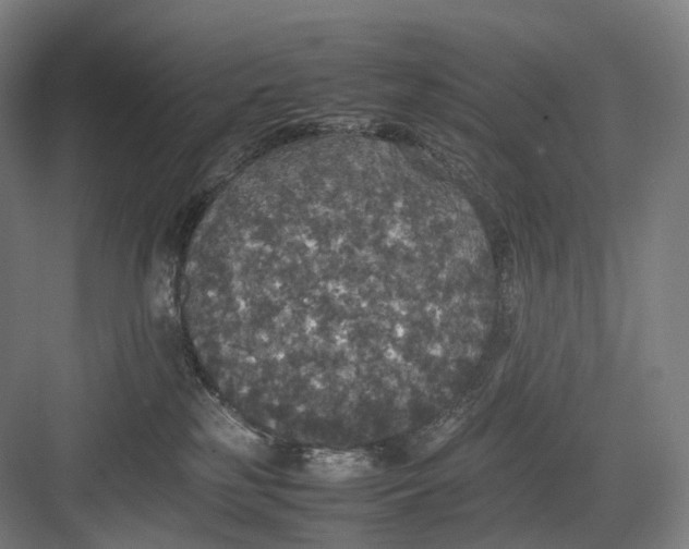 X0000082690185200702161733