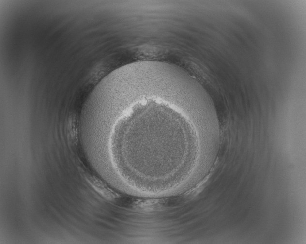 X0000082690186200702161733