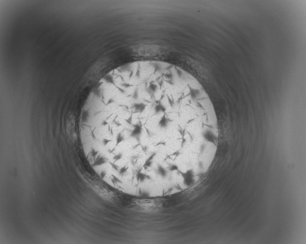 X0000082690187200702161733