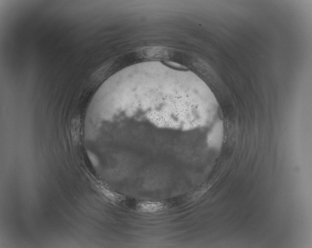 X0000082690189200702161733