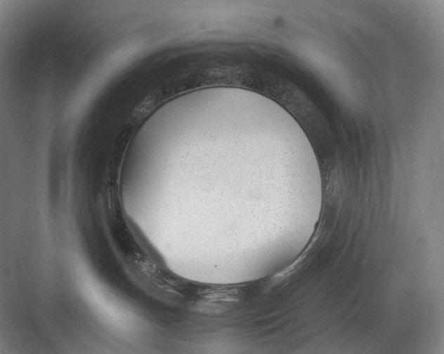 X0000082690191200702161733