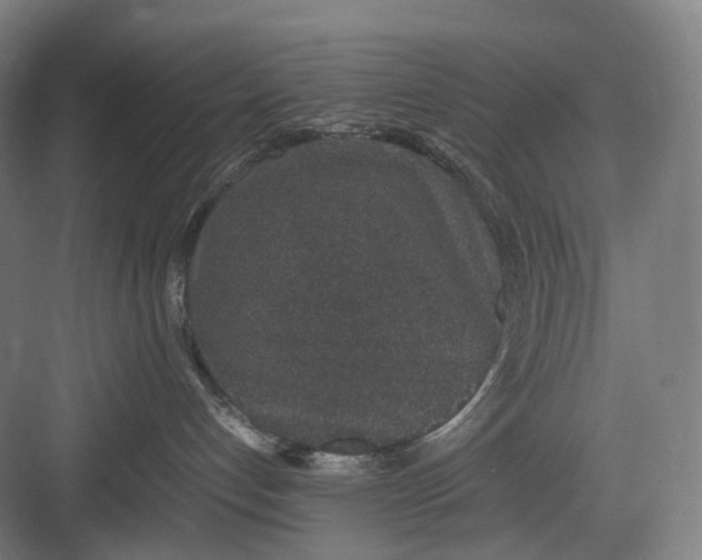 X0000082690192200702161733