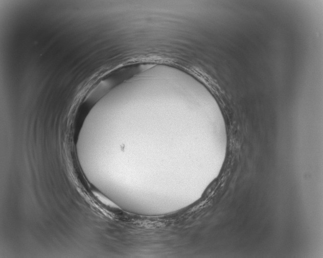 X0000082690193200702161733