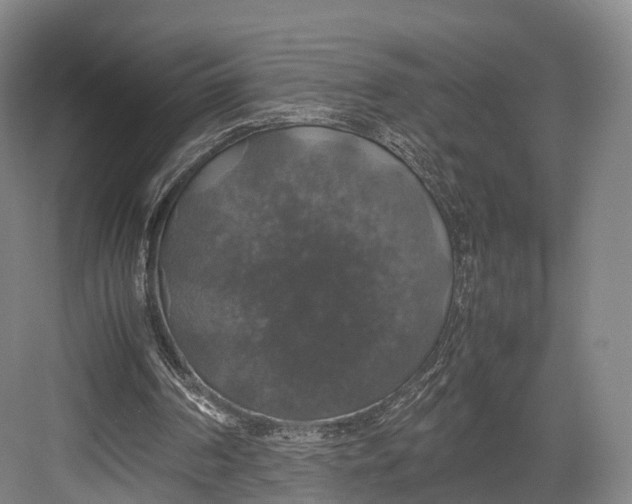 X0000082690194200702161733