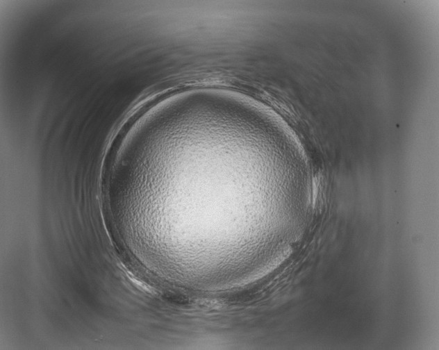 X0000082690195200702161733