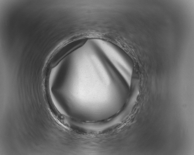 X0000082690197200702161733