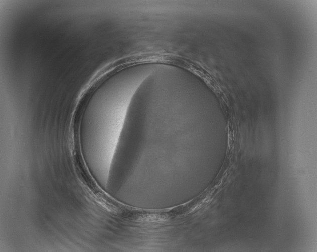 X0000082690198200702161733