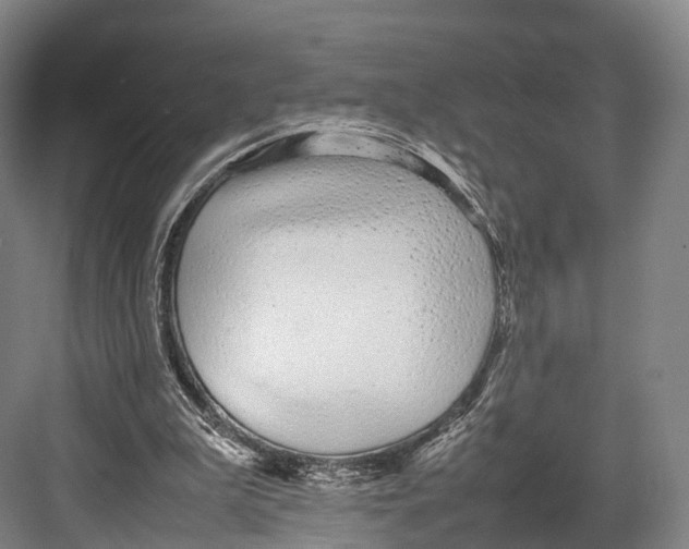 X0000082690199200702161733