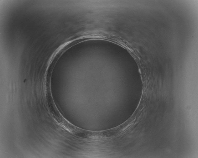 X0000082690200200702161733