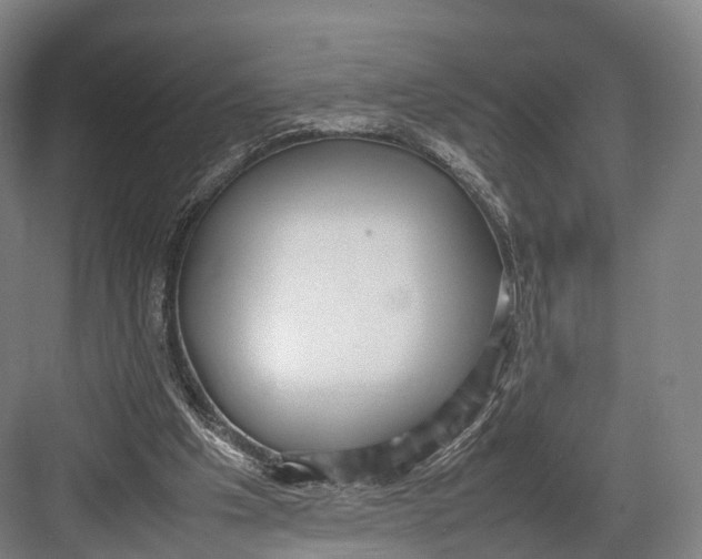 X0000082690201200702161733