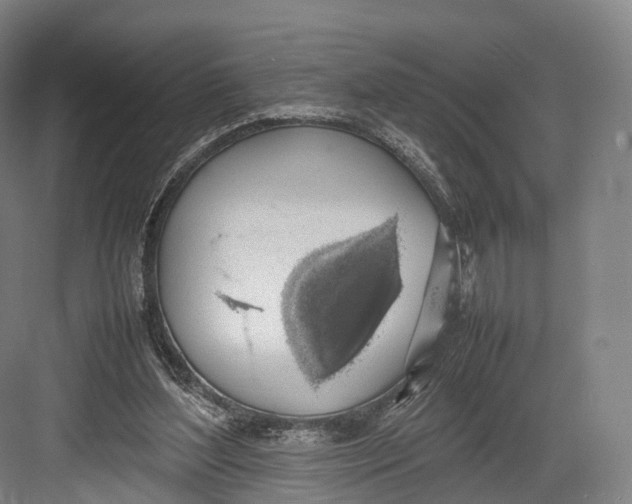 X0000082690204200702161732