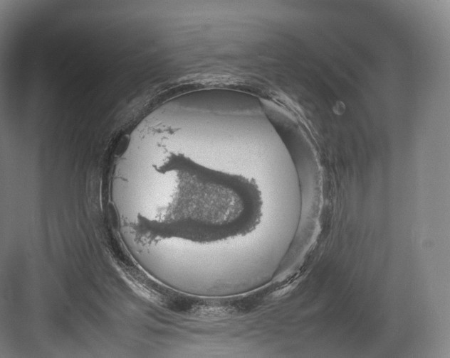 X0000082690205200702161732