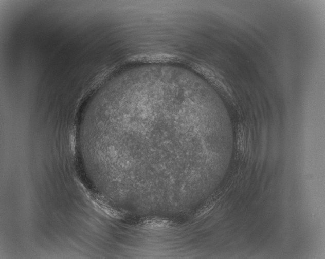 X0000082690206200702161732