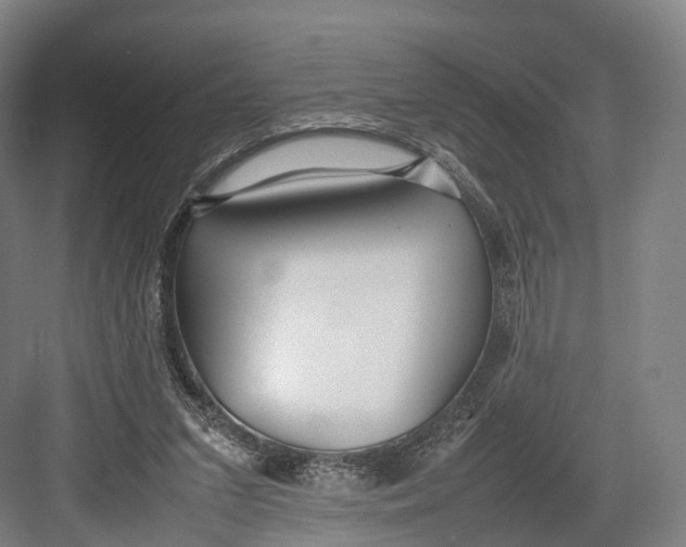 X0000082690207200702161732