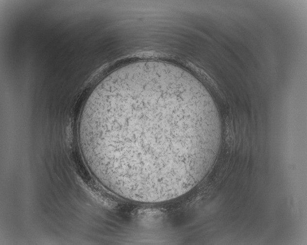 X0000082690208200702161732