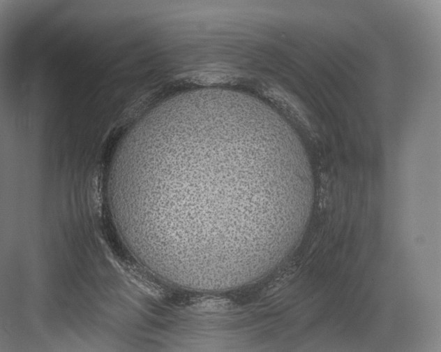 X0000082690210200702161732